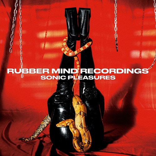 Rubber Mind Recordings’s avatar