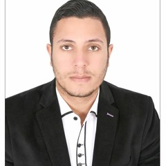 Mohamed Shehata