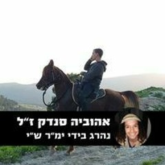 נחמן אבני