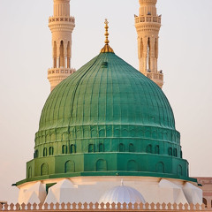 محب