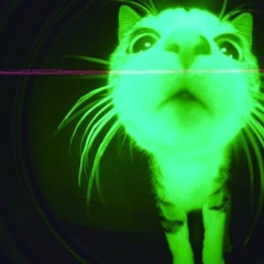 lucy