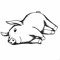 Lazy Pig