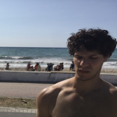 profesyonel müzik dinleyicisi