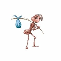 Homeless Ant