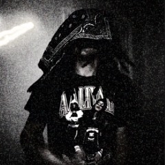 swgsnsei (@swgsnseifr)