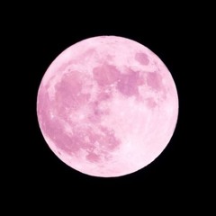 Pink Supermoon