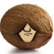 Axel Coconut