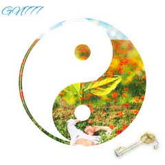 GN777