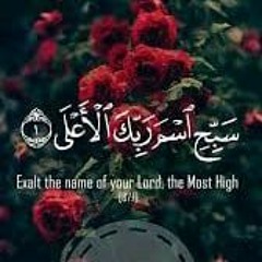 Mohamed Abdelfattah