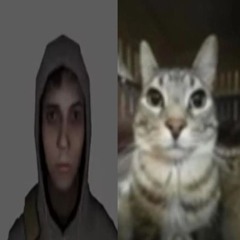 derilzlfy