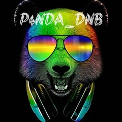 P4NDA_DNB