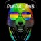 P4NDA_DNB