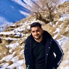 mohammad sadeghi