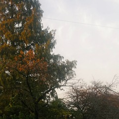 BEC8723 - Voice From Extra Dimensions