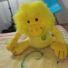 MACACO DORADO😯😯💯