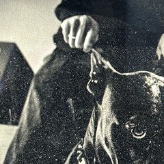 matipieser
