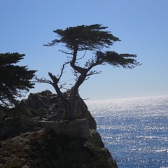 M&M Sounds Los Angeles