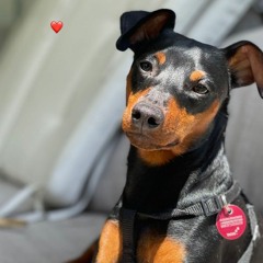 Михаил Бабенко