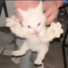 лол