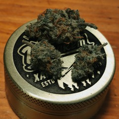 OG🌴