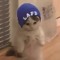 Chibeanie