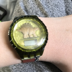 DinoWatch