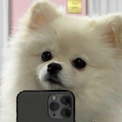 minhtuyenwipe
