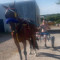 blakeburrows2000