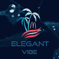 Elegant VibeHUB
