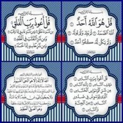 سالي شهده