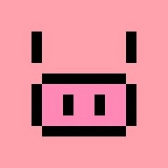 big_mini_pig