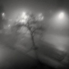 𝕬𝕽𝕯𝕰𝕹𝕿𝕴𝕾