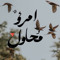 هـاجـر أحـمـد