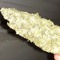 Jowelkush