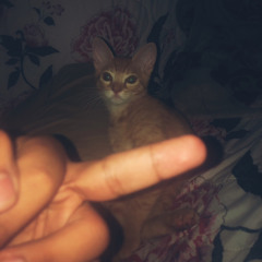 flu baby