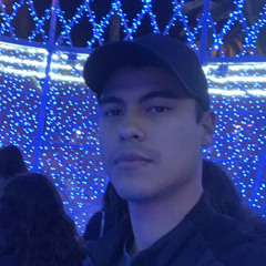 Christian Andres Mendez