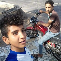 خنازير الشواريع