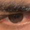 lee
