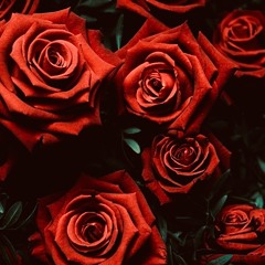 DJ Rose
