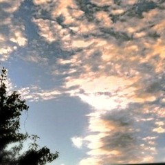 Confuseddream