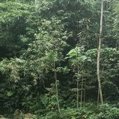 Fajar Muhammad SuryaPutra