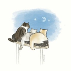 jh_cat