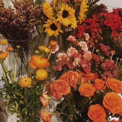 𝑼𝑵𝑭𝑰𝑵𝑰𝑺𝑯𝑬𝑫 𝑳𝒀𝑹𝑰𝑪𝑺 🎙💕