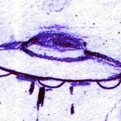 KIDMU