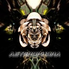 Asterophora