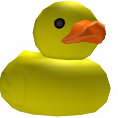 shuba_ducky
