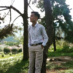 Duc Anh