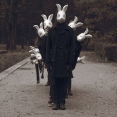 BLCK RABIT PROJECT  -... ..- ... -.-- (ID)k