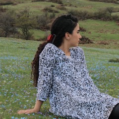 fateme movaghar
