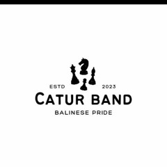 c4tur_band